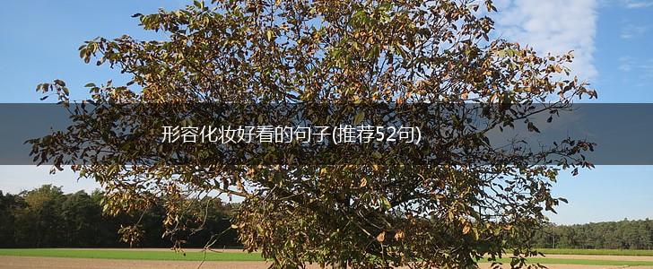 形容化妆好看的句子(推荐52句),第1张