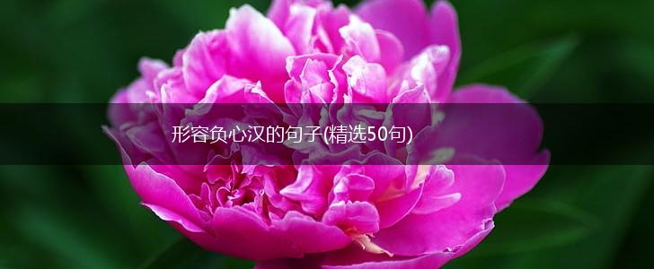 形容负心汉的句子(精选50句),第1张 形容负心汉的句子(精选50句),第1张