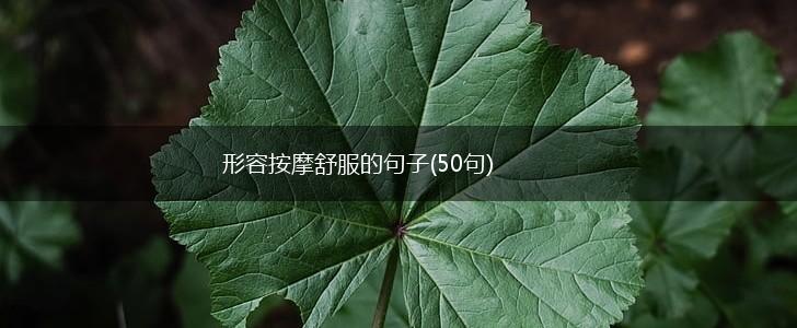 形容按摩舒服的句子(50句),第1张
