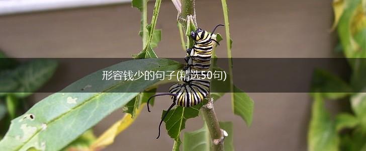 形容钱少的句子(精选50句),第1张