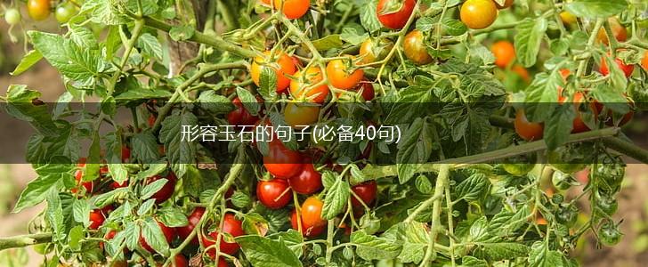 形容玉石的句子(必备40句),第1张