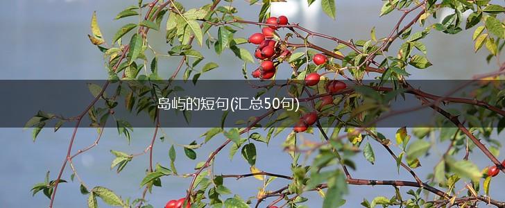 岛屿的短句(汇总50句),第1张