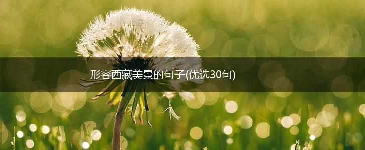 形容西藏美景的句子(优选30句),第1张