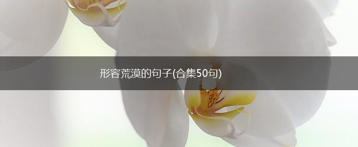 形容荒漠的句子(合集50句),第1张 形容荒漠的句子(合集50句),第1张