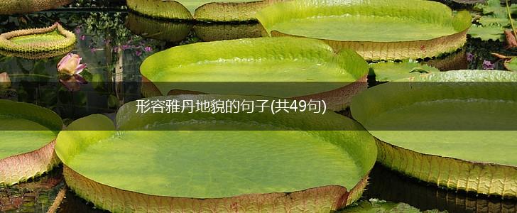 形容雅丹地貌的句子(共49句),第1张