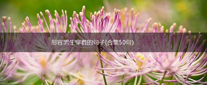 形容男生穿着的句子(合集50句),第1张