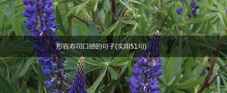 形容寿司口感的句子(实用51句),第1张