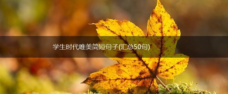 学生时代唯美简短句子(汇总50句),第1张