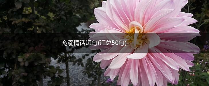 宠溺情话短句(汇总50句),第1张