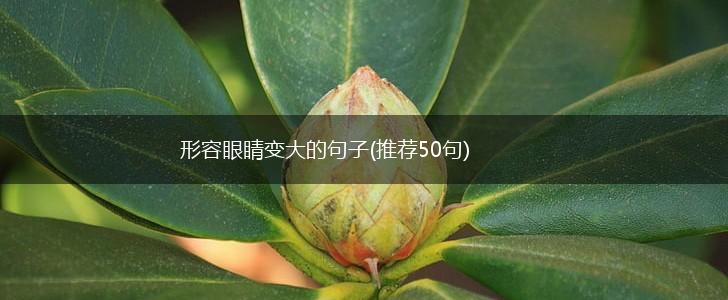 形容眼睛变大的句子(推荐50句),第1张