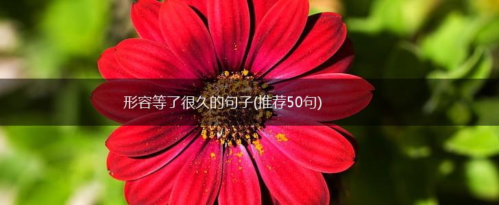形容等了很久的句子(推荐50句),第1张