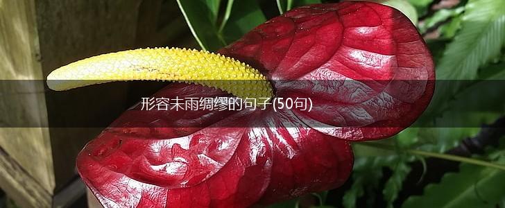 形容未雨绸缪的句子(50句),第1张