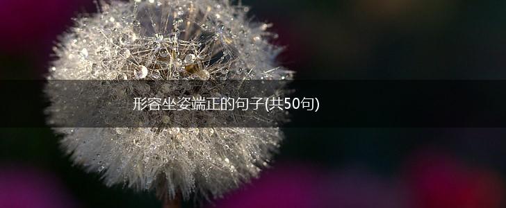 形容坐姿端正的句子(共50句),第1张