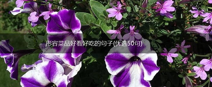 形容菜品好看好吃的句子(优选50句),第1张