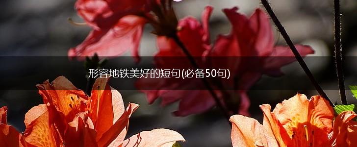 形容地铁美好的短句(必备50句),第1张
