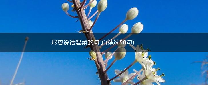 形容说话温柔的句子(精选50句),第1张 形容说话温柔的句子(精选50句),第1张