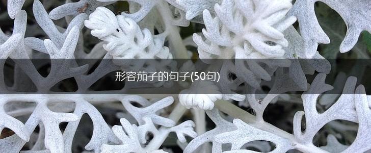 形容茄子的句子(50句),第1张
