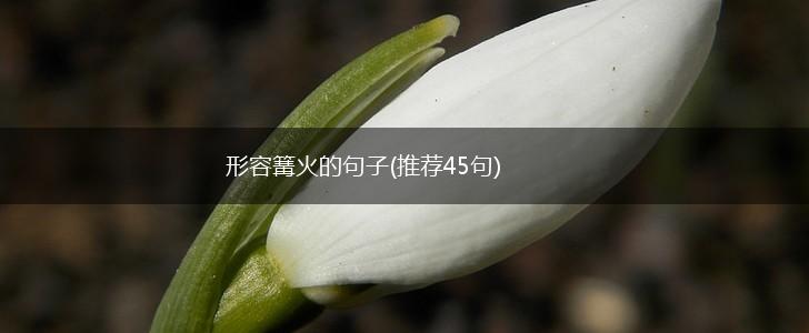 形容篝火的句子(推荐45句),第1张
