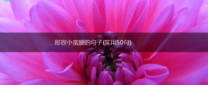 形容小蛮腰的句子(实用50句),第1张