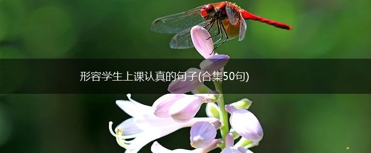 形容学生上课认真的句子(合集50句),第1张