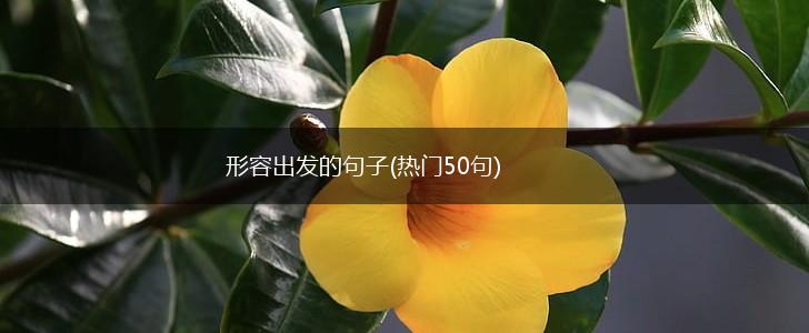 形容出发的句子(热门50句),第1张 形容出发的句子(热门50句),第1张