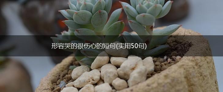 形容哭的很伤心的短句(实用50句),第1张