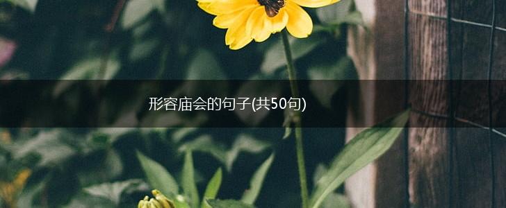 形容庙会的句子(共50句),第1张