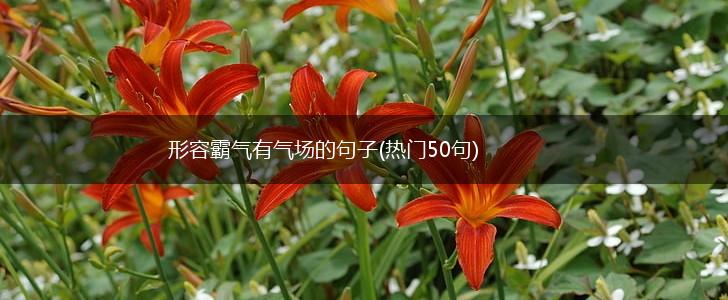 形容霸气有气场的句子(热门50句),第1张
