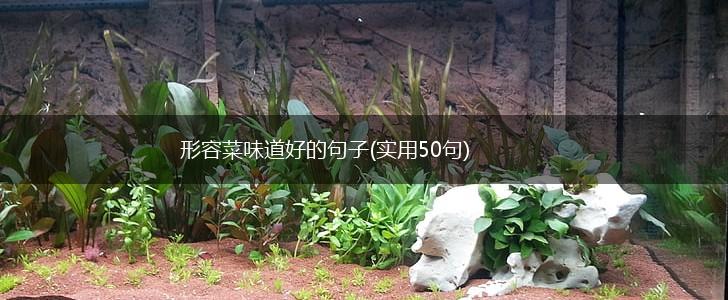 形容菜味道好的句子(实用50句),第1张