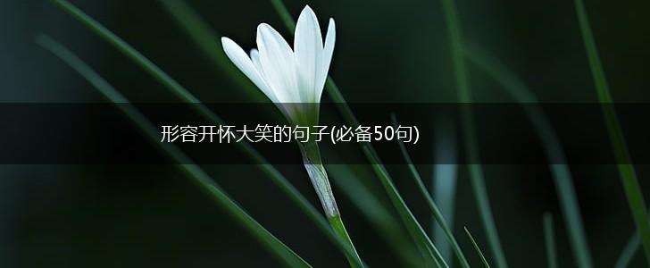 形容开怀大笑的句子(必备50句),第1张 形容开怀大笑的句子(必备50句),第1张