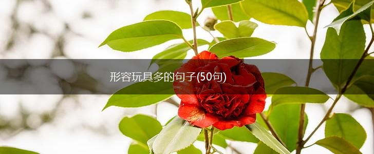 形容玩具多的句子(50句),第1张