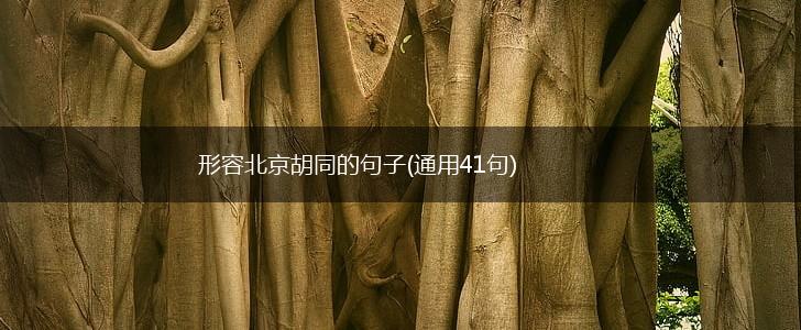 形容北京胡同的句子(通用41句),第1张