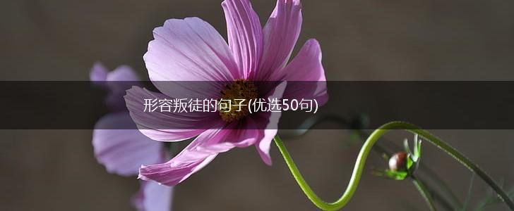 形容叛徒的句子(优选50句),第1张