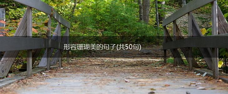 形容珊瑚美的句子(共50句),第1张
