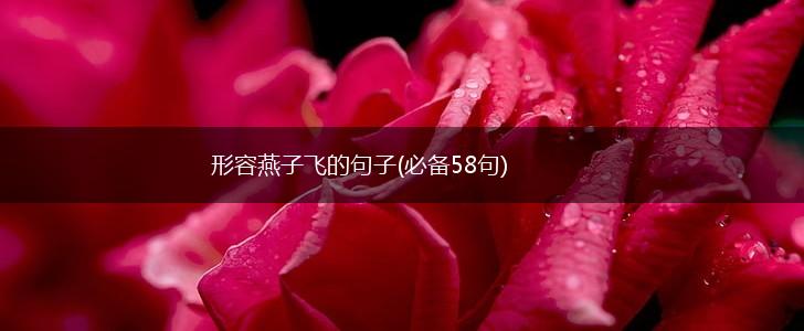 形容燕子飞的句子(必备58句),第1张