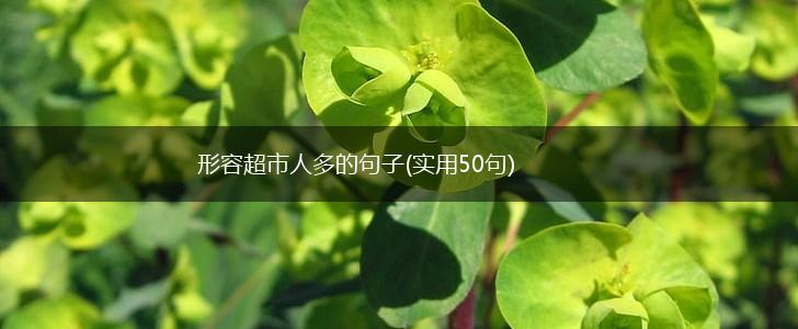 形容超市人多的句子(实用50句),第1张