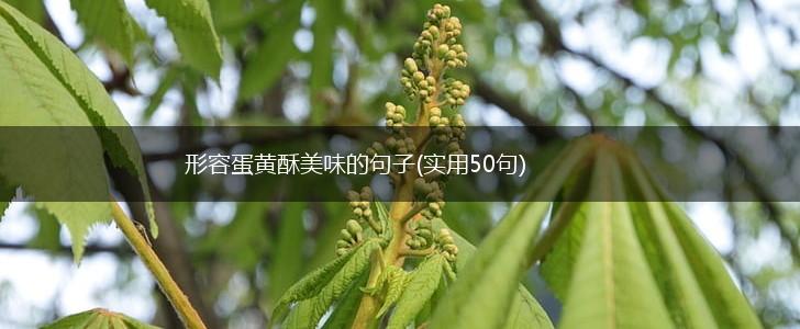 形容蛋黄酥美味的句子(实用50句),第1张
