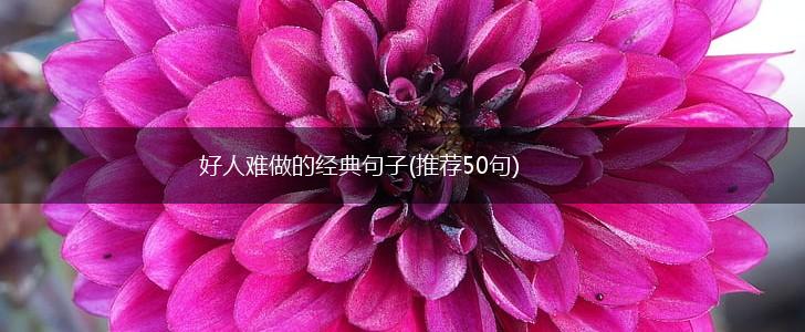 好人难做的经典句子(推荐50句),第1张