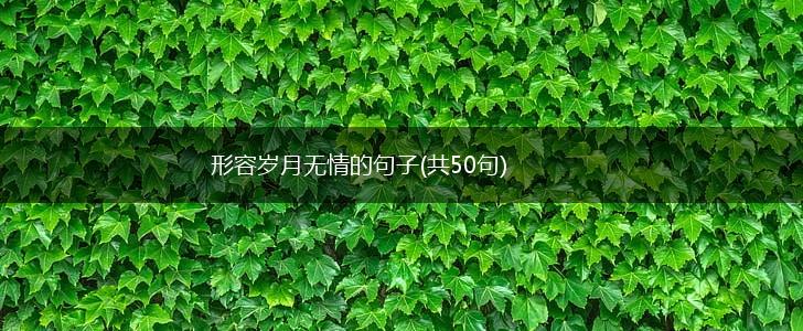 形容岁月无情的句子(共50句),第1张
