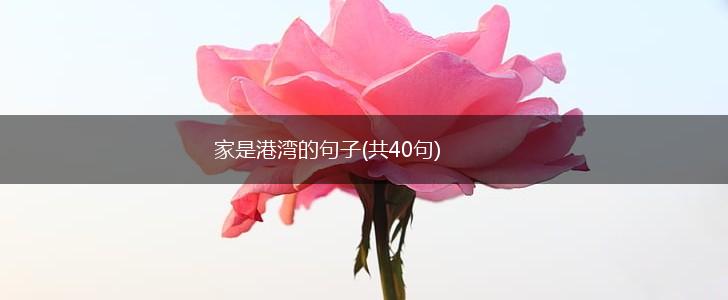 家是港湾的句子(共40句),第1张