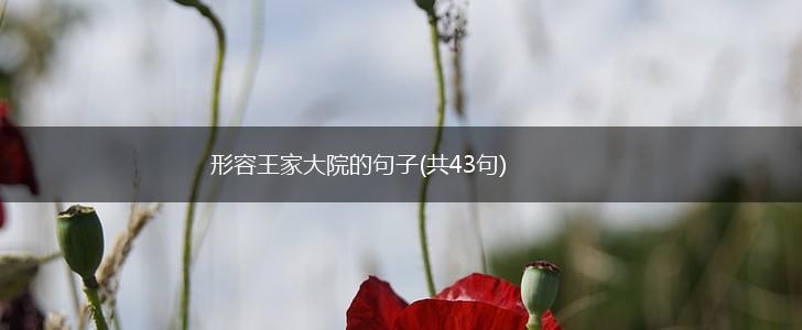 形容王家大院的句子(共43句),第1张