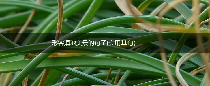 形容滇池美景的句子(实用11句),第1张