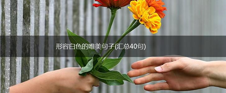 形容白色的唯美句子(汇总40句),第1张