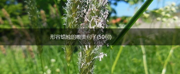 形容蜡烛的唯美句子(50句),第1张
