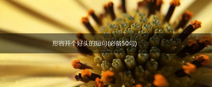 形容开个好头的短句(必备50句),第1张