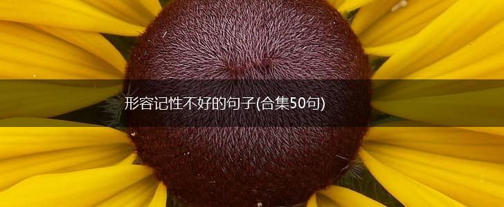 形容记性不好的句子(合集50句),第1张