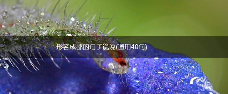 形容成都的句子说说(通用40句),第1张