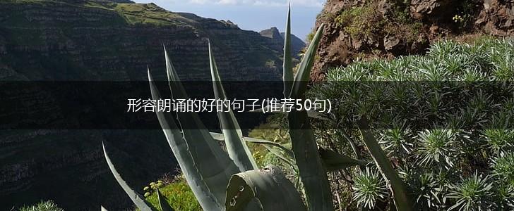 形容朗诵的好的句子(推荐50句),第1张