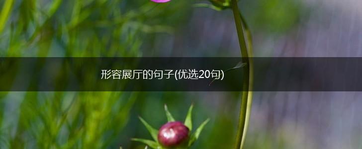 形容展厅的句子(优选20句),第1张