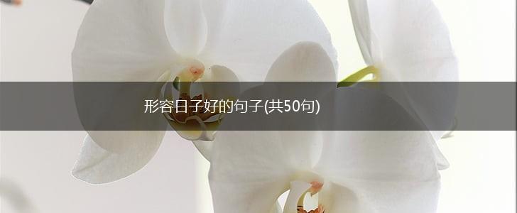 形容日子好的句子(共50句),第1张
